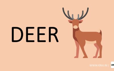 Deer | 20 Lines on Deer in English